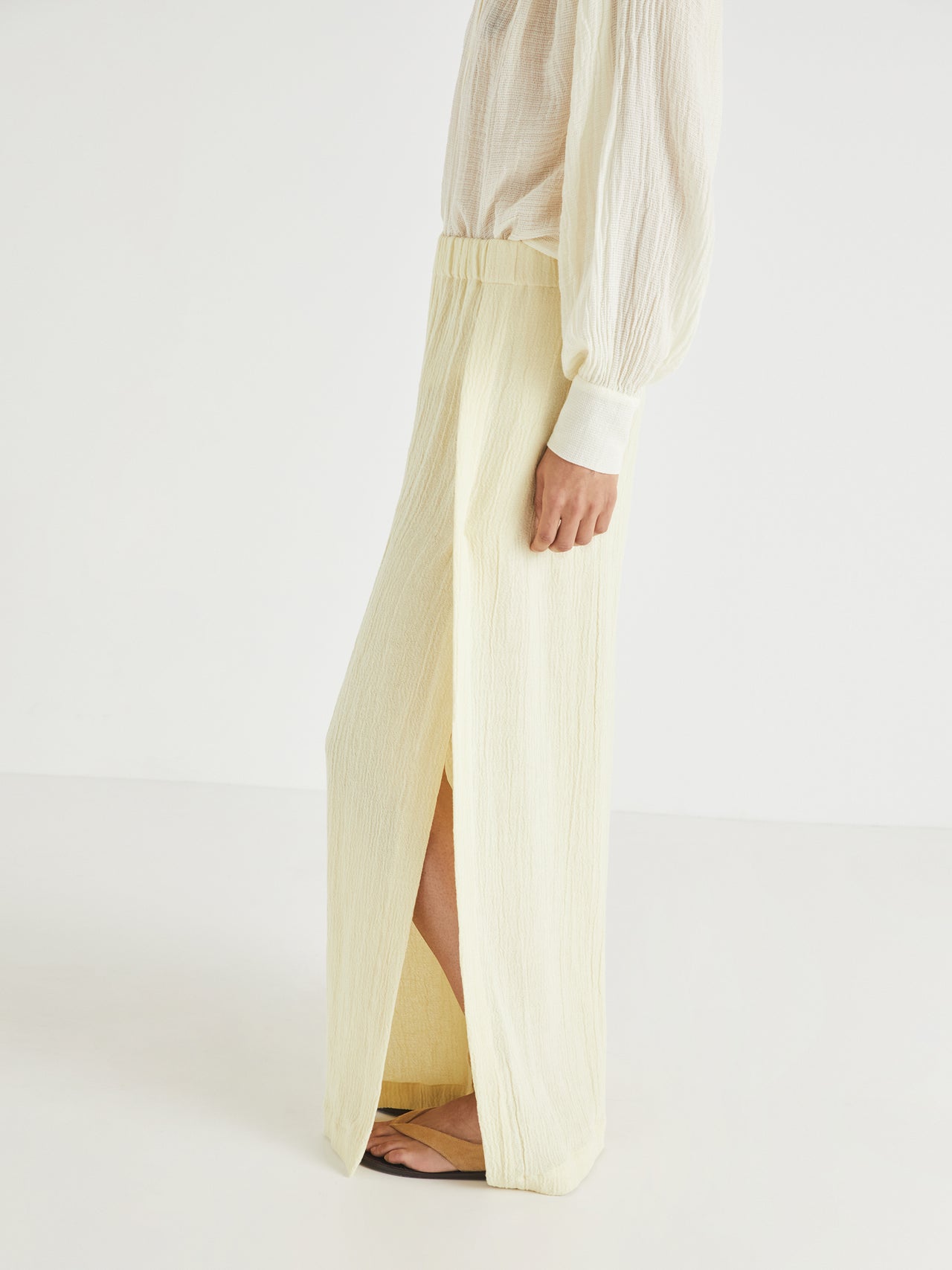 Seed Pants